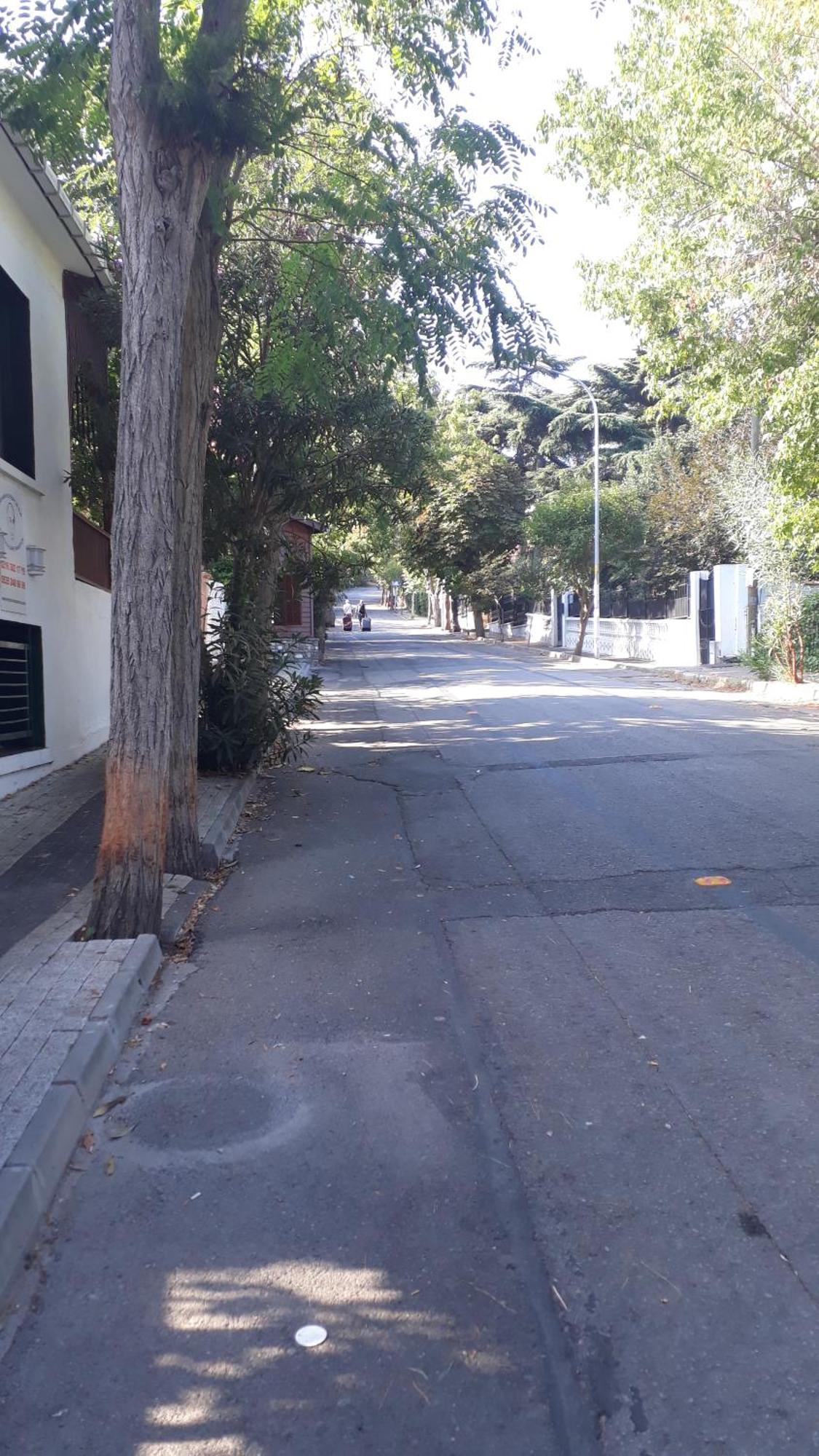 Orhan Kutbayin Evi Adalar Pokoj fotografie